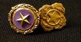 Image result for Gold Star Lapel Pin