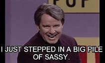 Image result for Phil Hartman Sassy