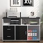 Image result for Office Cabinets with Doors and Shelves