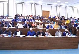 Image result for Somalia Parliament