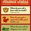 Image result for Cute Animal Jokes for Kids