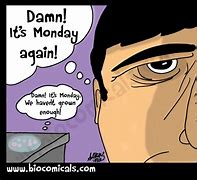 Image result for Monday Funnies