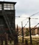 Image result for Stutthof Concentration Camp Museum