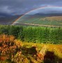 Image result for Pretty Rainbow Colors