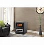 Image result for Electric Franklin Stove Heaters