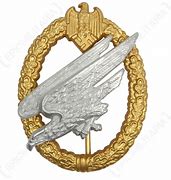 Image result for German Fallschirmjager Badge