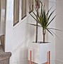 Image result for Wood Plant Stands Indoor