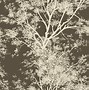 Image result for trees 
