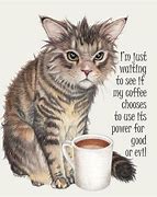 Image result for Morning Coffee Humor
