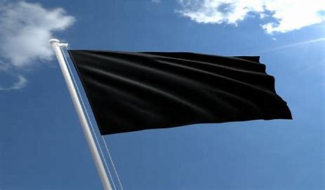 Image result for black flag