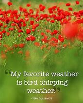 Image result for Funny Quotes About Spring
