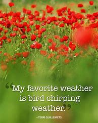 Image result for Funny Spring Sayings