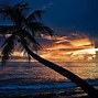 Image result for Night Beach Scenery