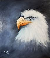 Image result for Amazing Eagle Artwork
