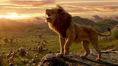 Image result for lion king images