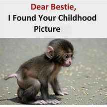 Image result for Crazy Friend Quotes Funny
