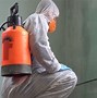 Image result for Mold Removal Prices