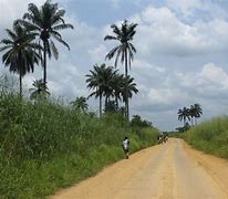 Image result for Congo People and Culture