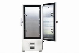 Image result for Ultra Low Freezer Thermo Fisher 1230A