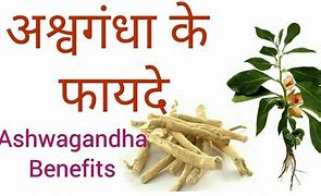 Image result for Ashwagandha Standardized Extract, 300 Mg, 120 Vegetarian Capsules