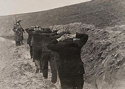 Image result for German War Crimes
