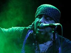 Image result for Steven Van Zandt without Hairpiece