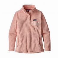 Image result for Patagonia Pullover Women Purple