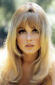 Image result for Sharon Tate Wig