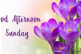 Image result for Sunday Afternoon Quotes