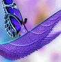 Image result for Background for Art Butterflies