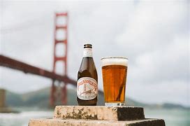 Image result for San Francisco Steam Beer