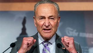 Image result for Charles Schumer Yamaka
