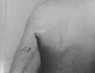 Image result for Waffen SS Blood Group Tattoo
