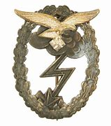 Image result for WW2 German Luftwaffe Badges