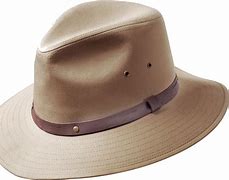 Image result for Claire's Hat Pins