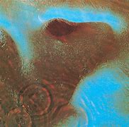 Image result for Pink Floyd Meddle Album Back Cover