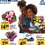 Image result for Food Lion Weekly Ad by Zip Code