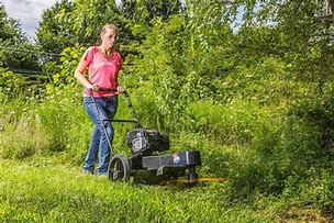 Image result for Earthquake 22 in. Gas-Powered 163Cc Briggs & Stratton Engine Walk Behind String Mower, 0.155 in. Line Diameter
