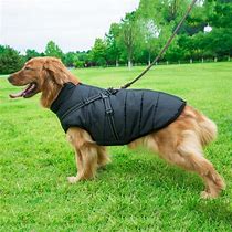Image result for Dog Winter Jacket Coat