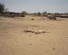 Image result for Darfur Area