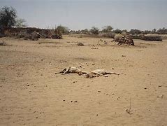 Image result for Darfur Conflict