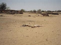 Image result for darfur humanitarian crisis