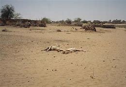 Image result for Darfur Plateau Map