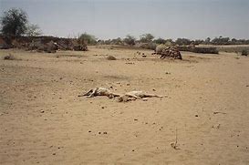 Image result for Darfur Region Countriues