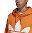 Image result for Adidas Trefoil Oversize Hoodie
