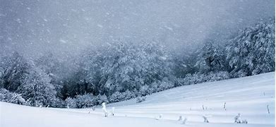 Image result for Snow Blizzard
