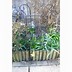 Image result for Wrought Iron Plant Supports