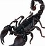 Image result for Glowing Scorpion Transparent