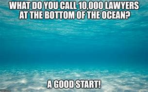Image result for Sea Lawyer Meme