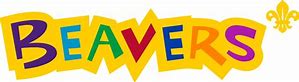 Image result for beavers scout